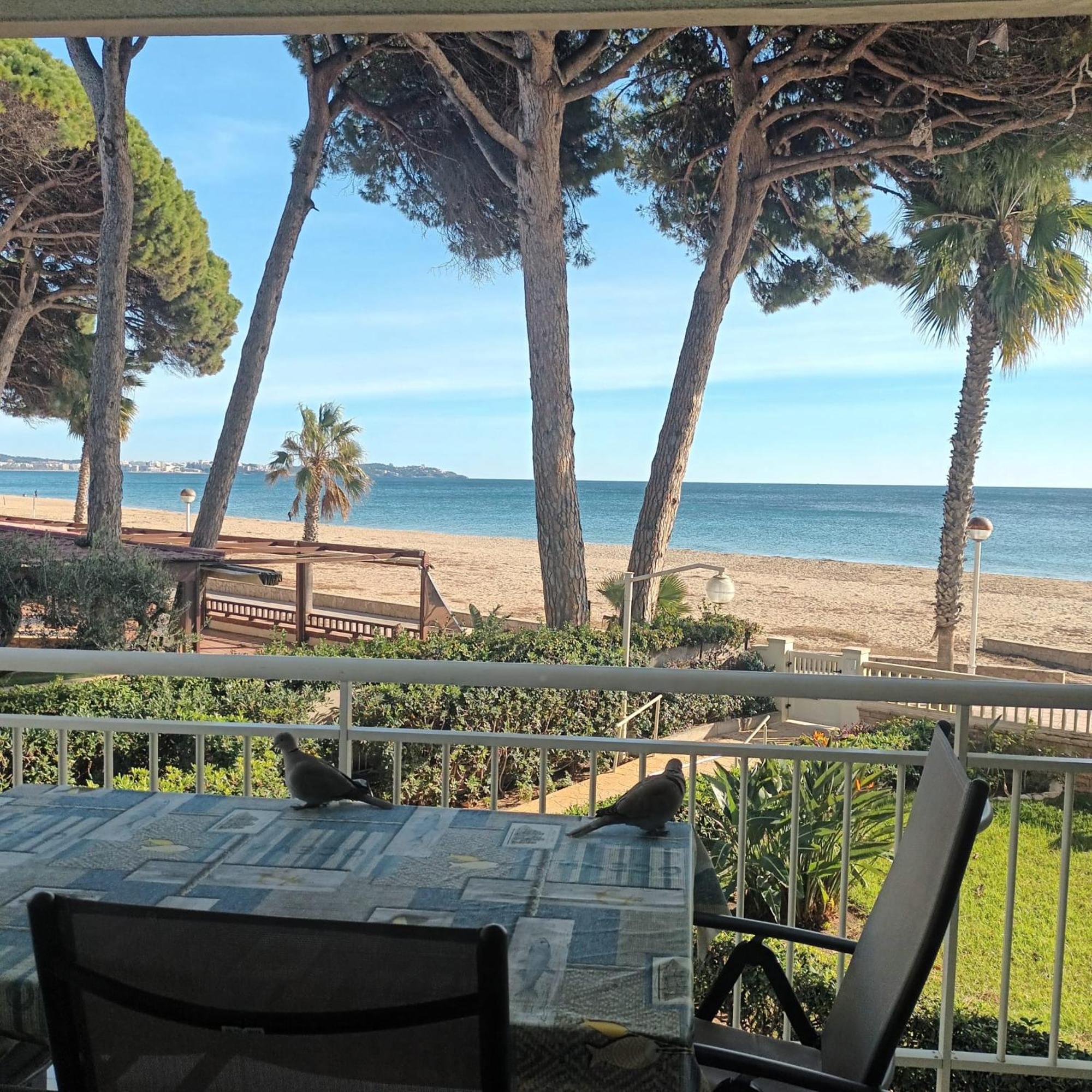 Apartamento Primera Linea De Mar En